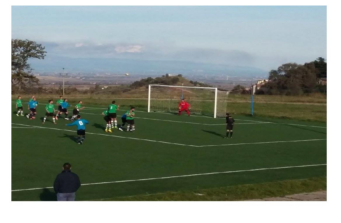 football5