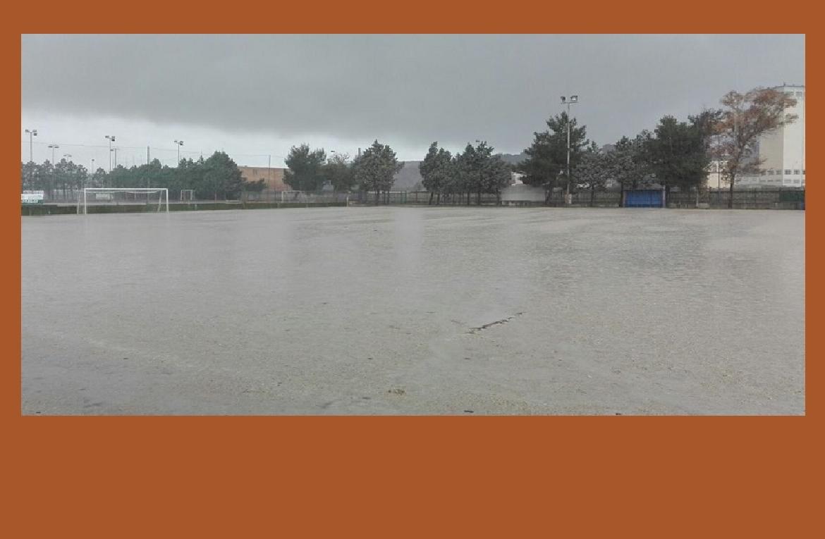 football5
