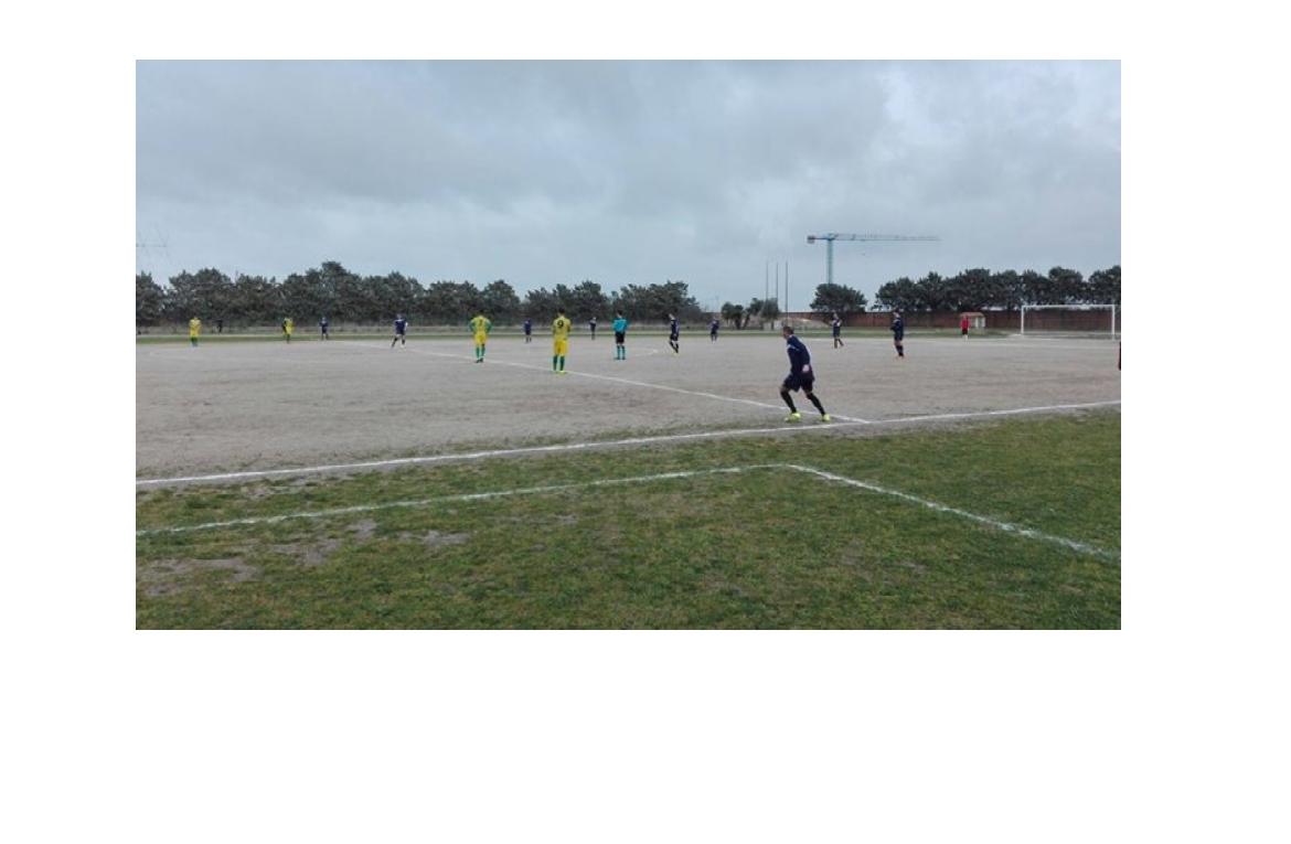 football5