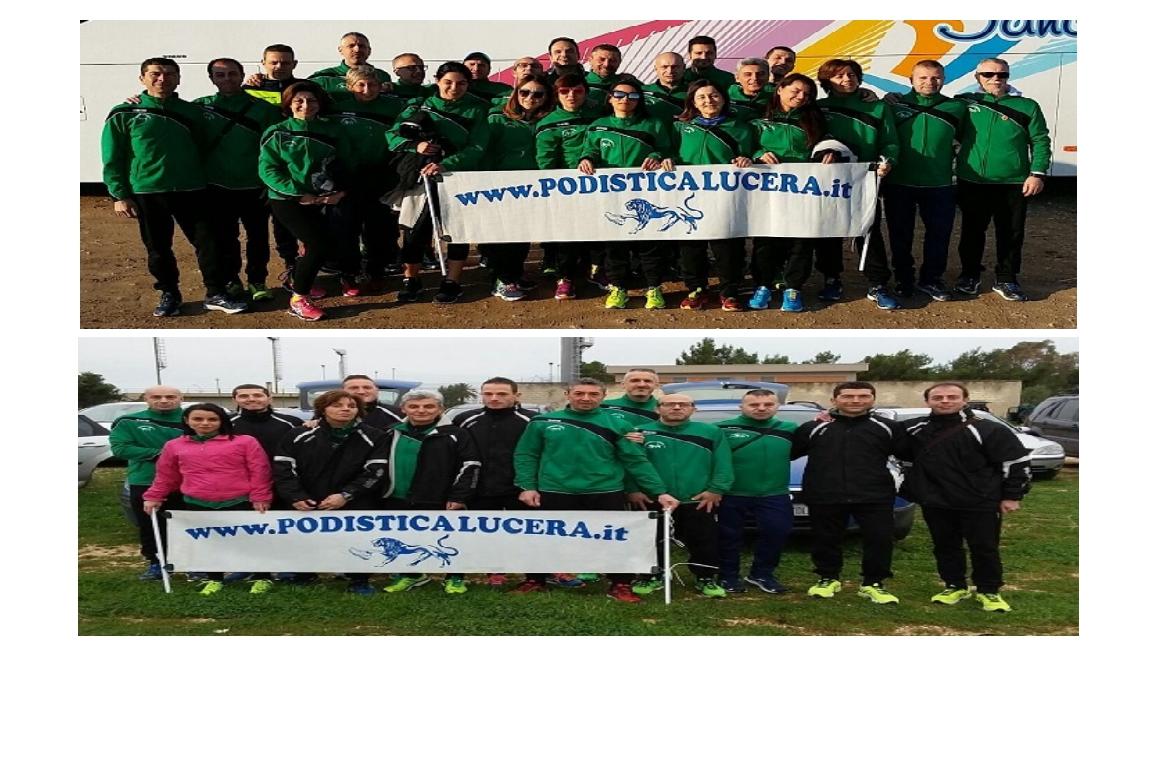 football5