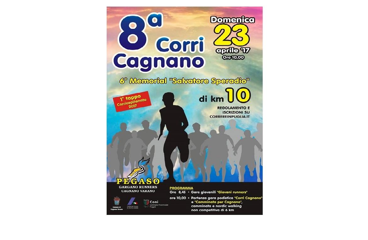 football5