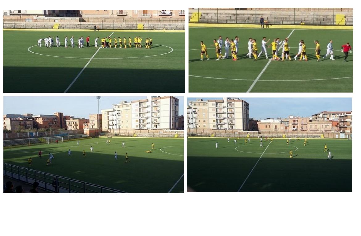 football5