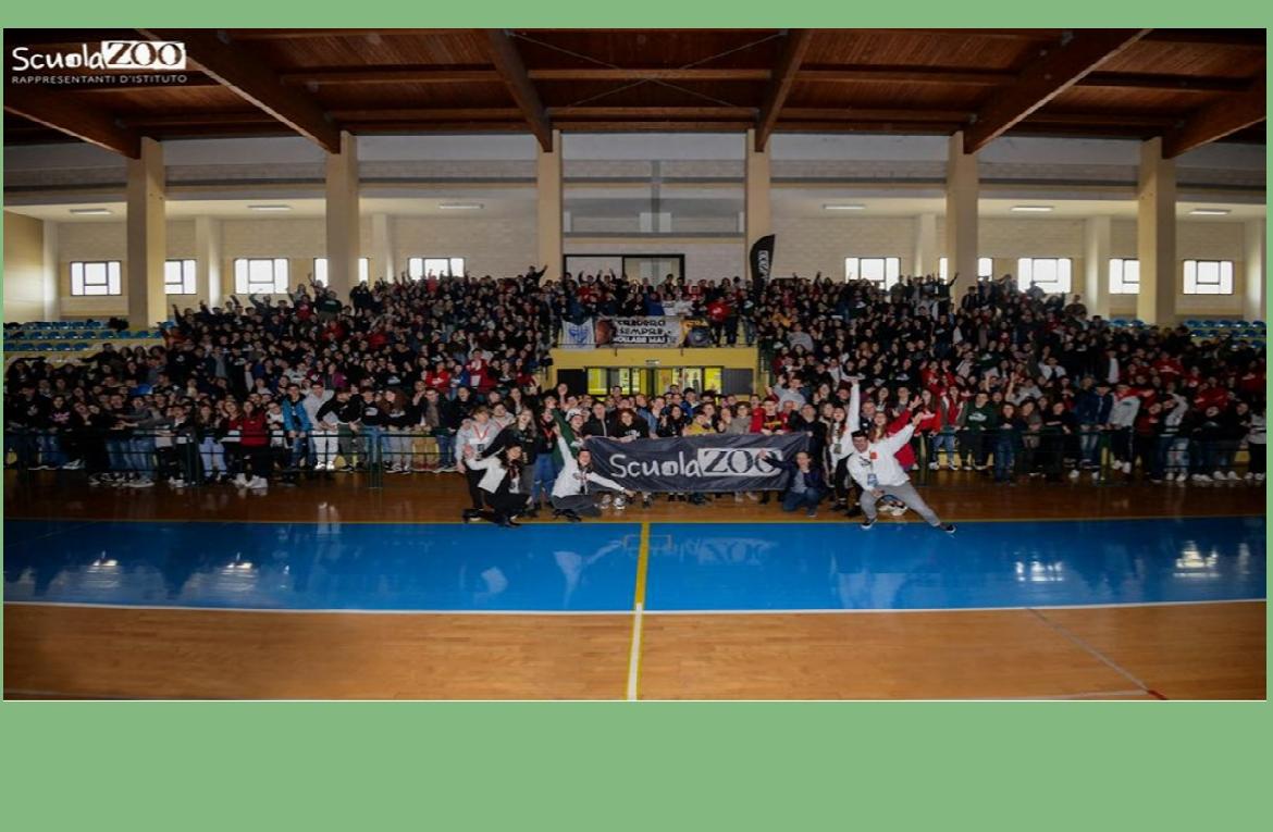 football5