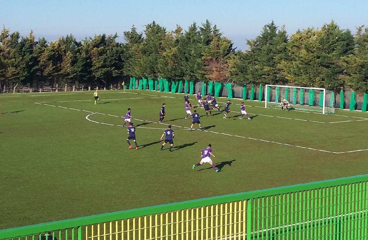 football5