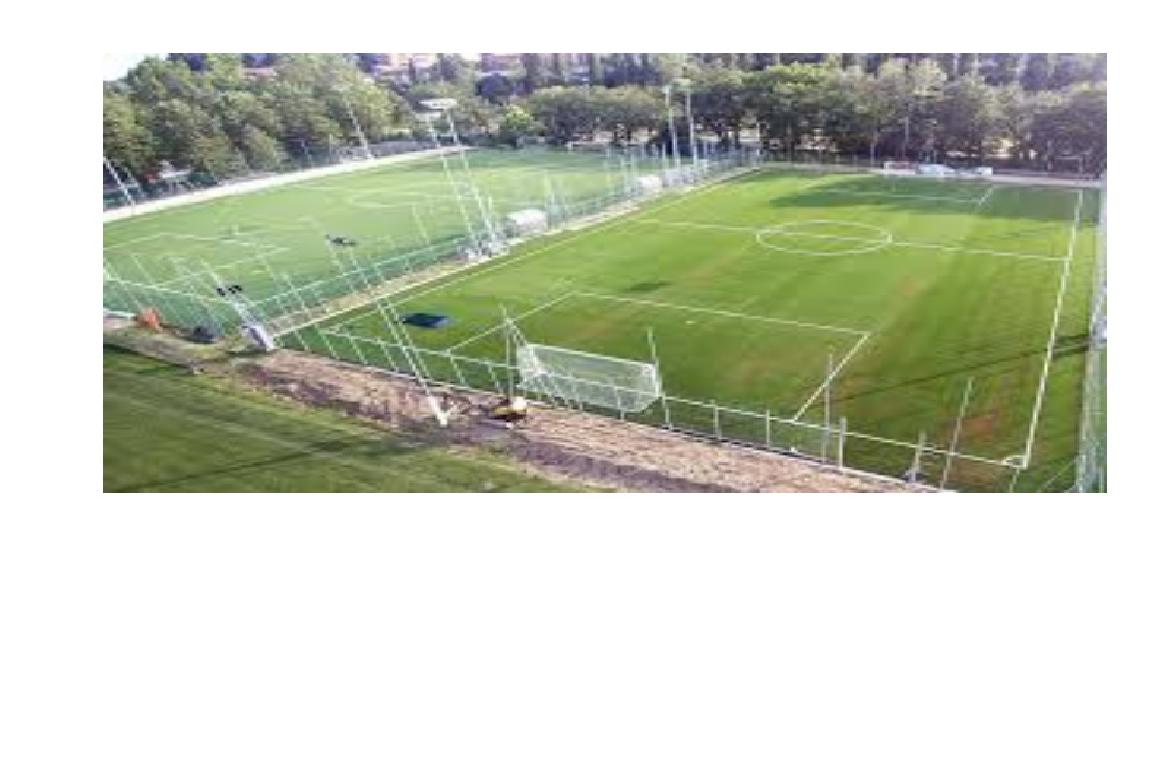 football5