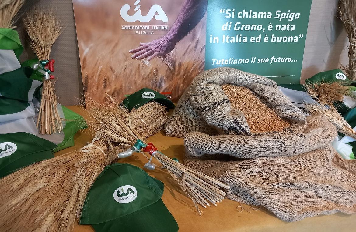 'Salvare il grano italiano', campagna nazionale e petizione di CIA Puglia