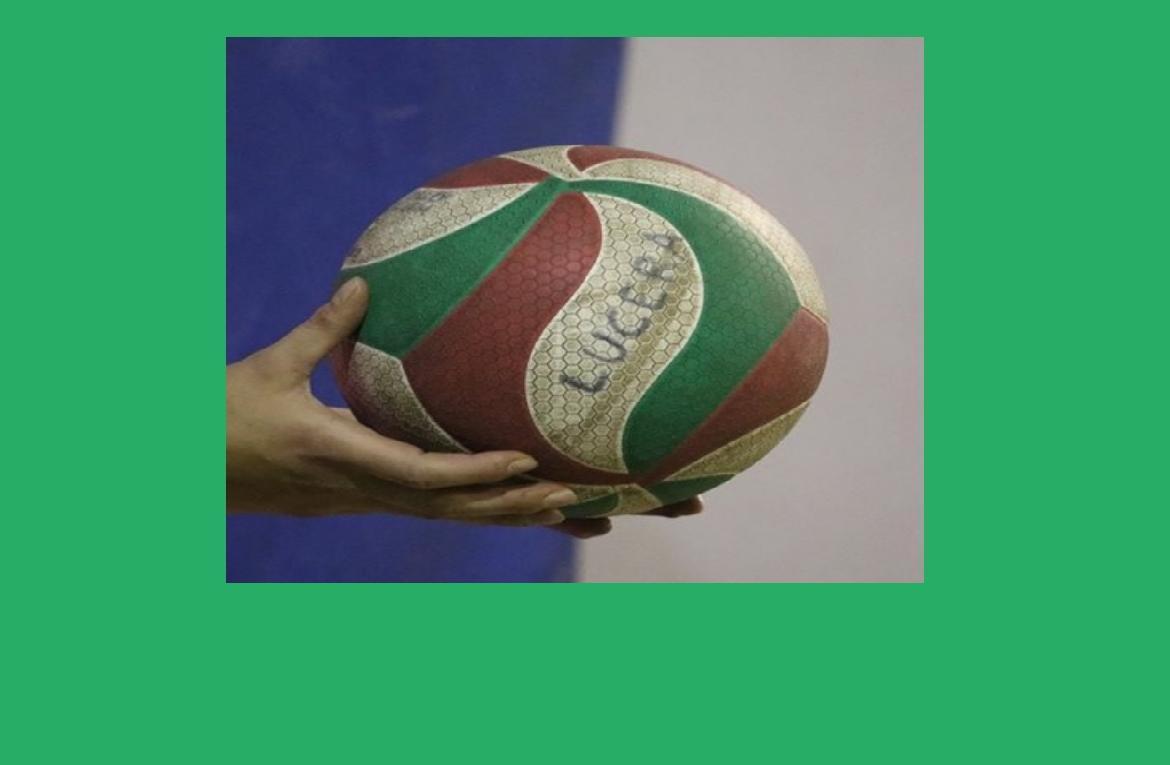 football5