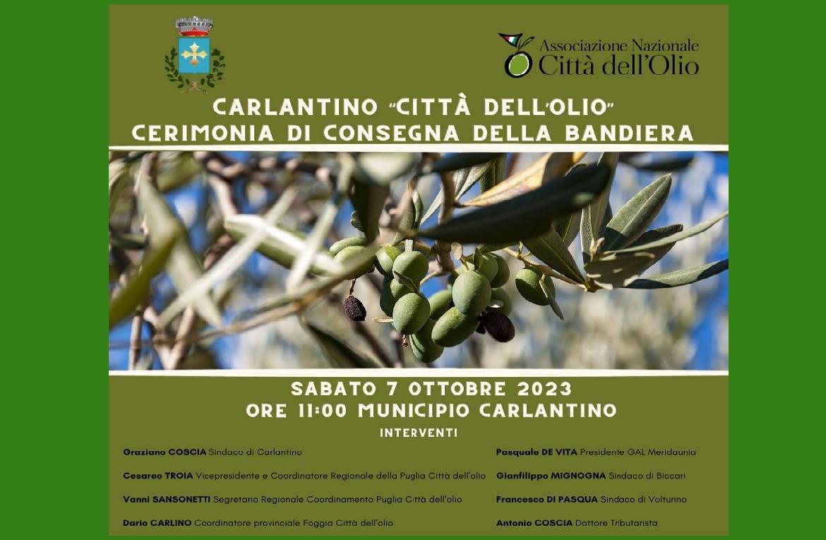 Foto Articolo