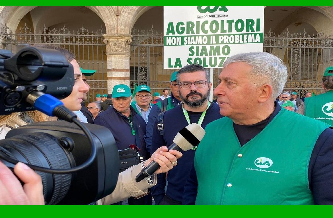 Rifiuti nelle campagne, la Puglia istituisce un Fondo per i comuni, CIA: 'Risultato storico'