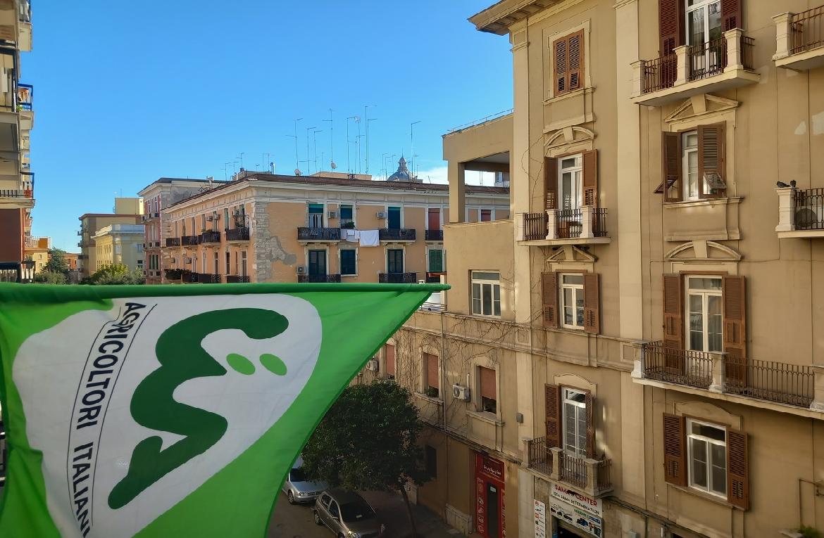 Consumo di suolo, Cia: 'Numeri allarmanti in Puglia, nuove regole per tutelare l’agricoltura'