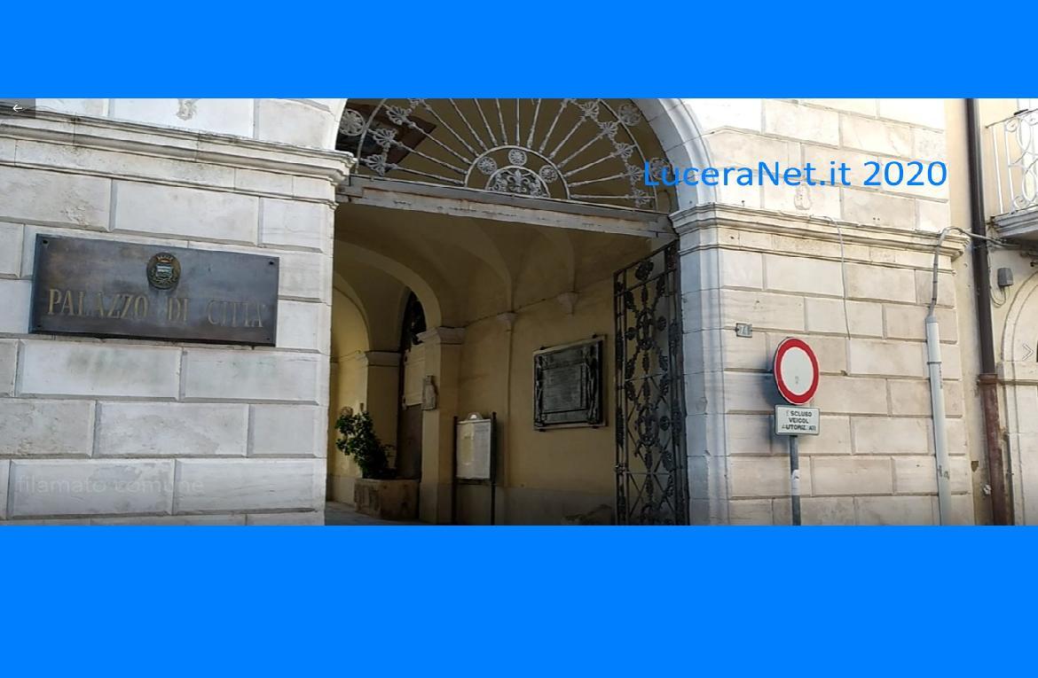 Foto Articolo