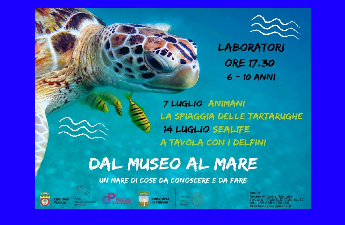 Dal Museo al Mare. Laboratori al Museo di Storia Naturale di Foggia
