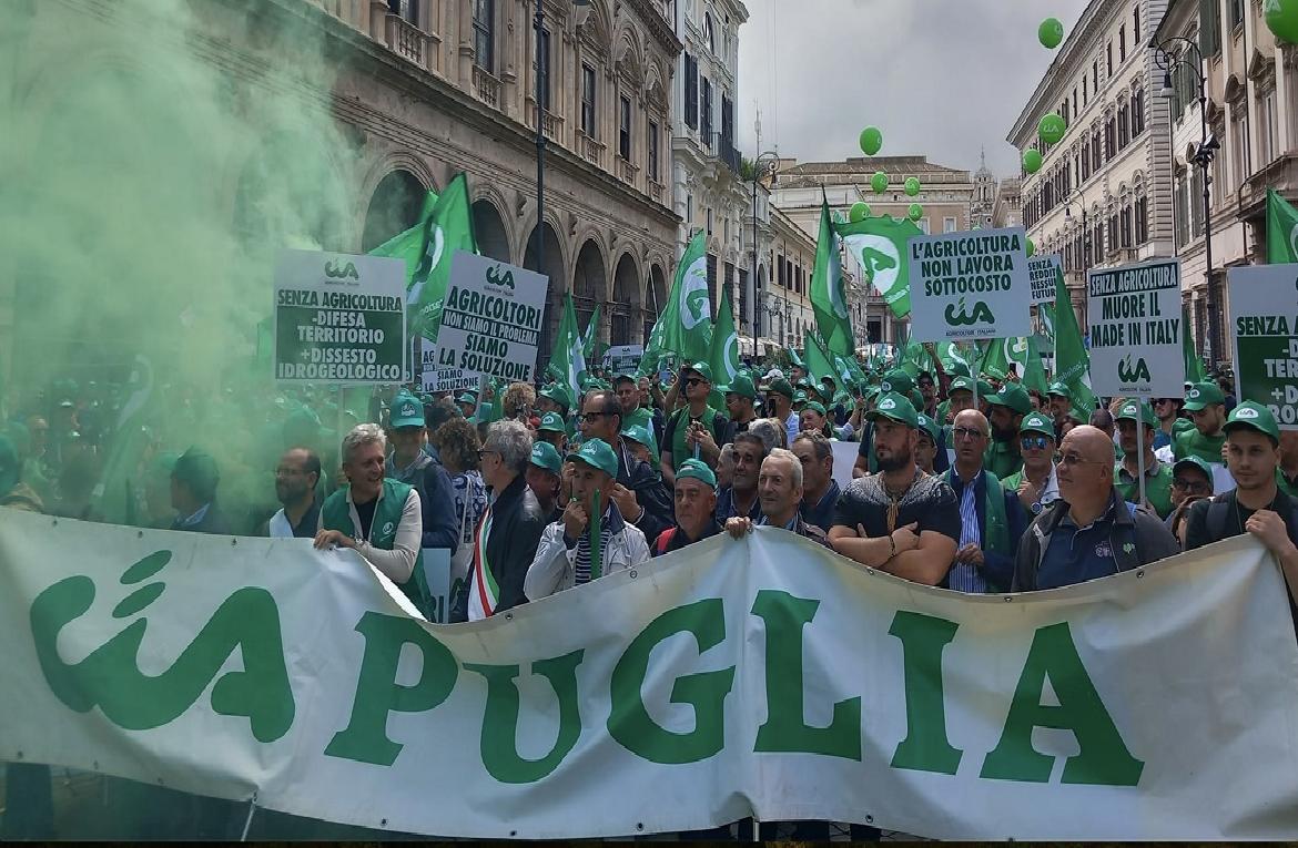 Foto Articolo