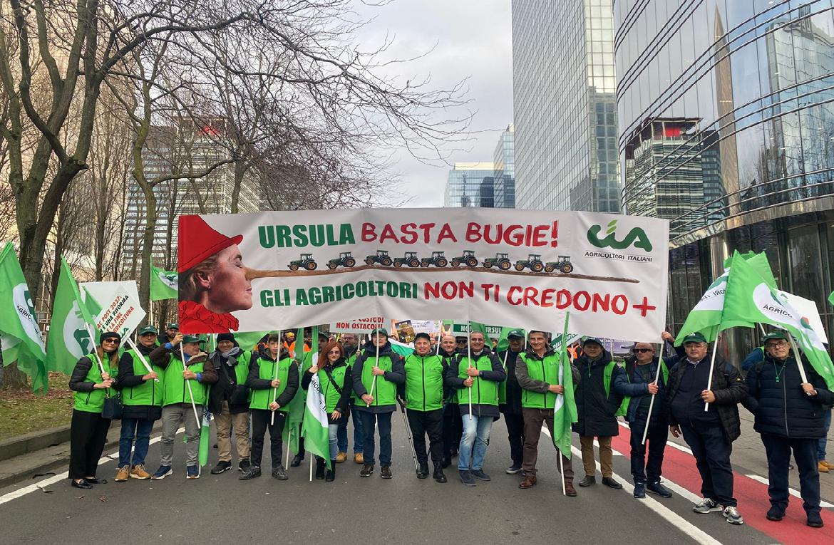 Gallery LuceraNet.it