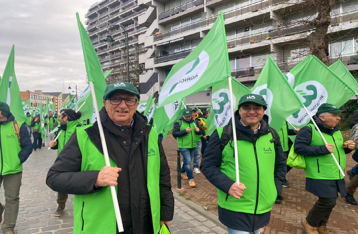 Gallery LuceraNet.it