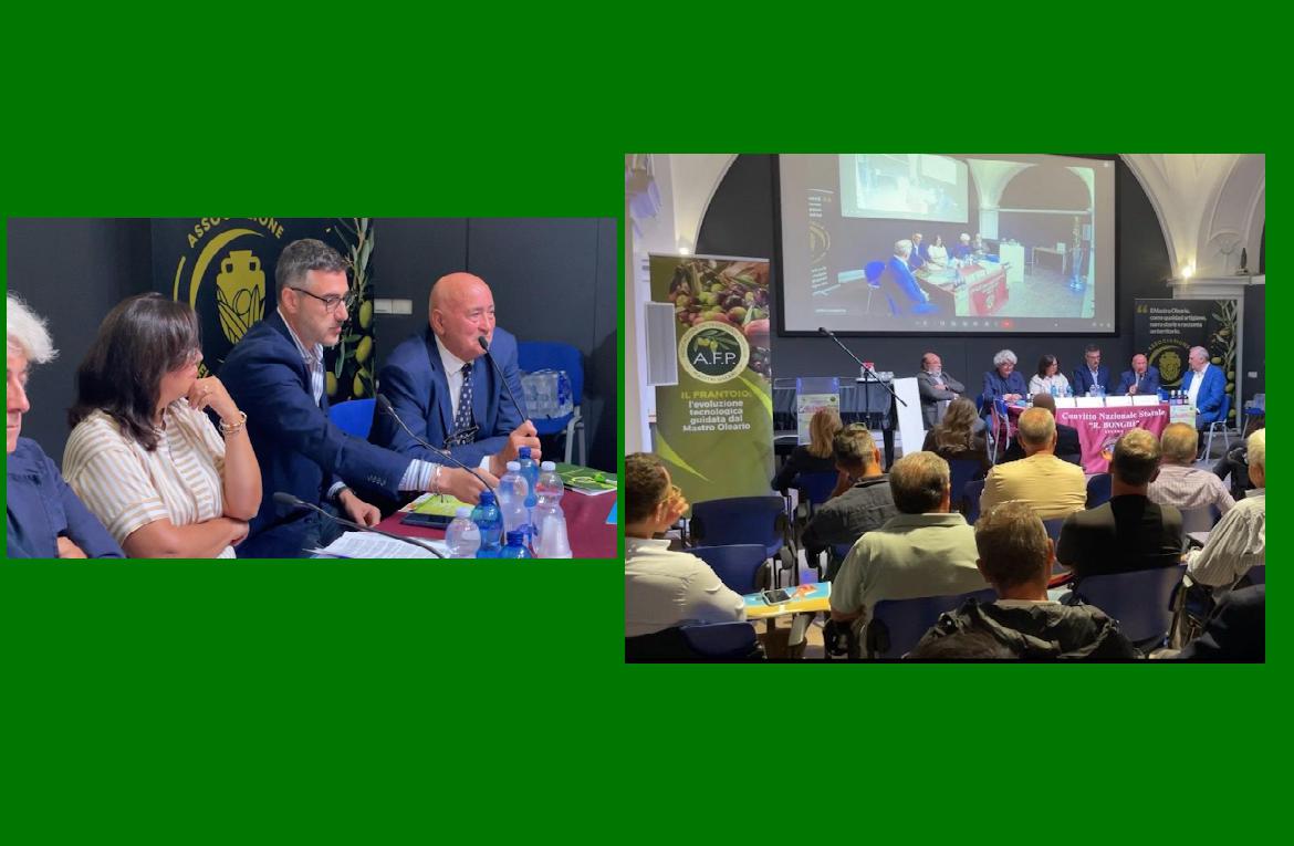 Lucera comparto olivicolo: il Mastro Oleario al centro del futuro dell’olio italiano