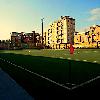 football5