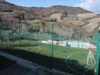 football5