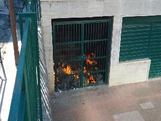 football5